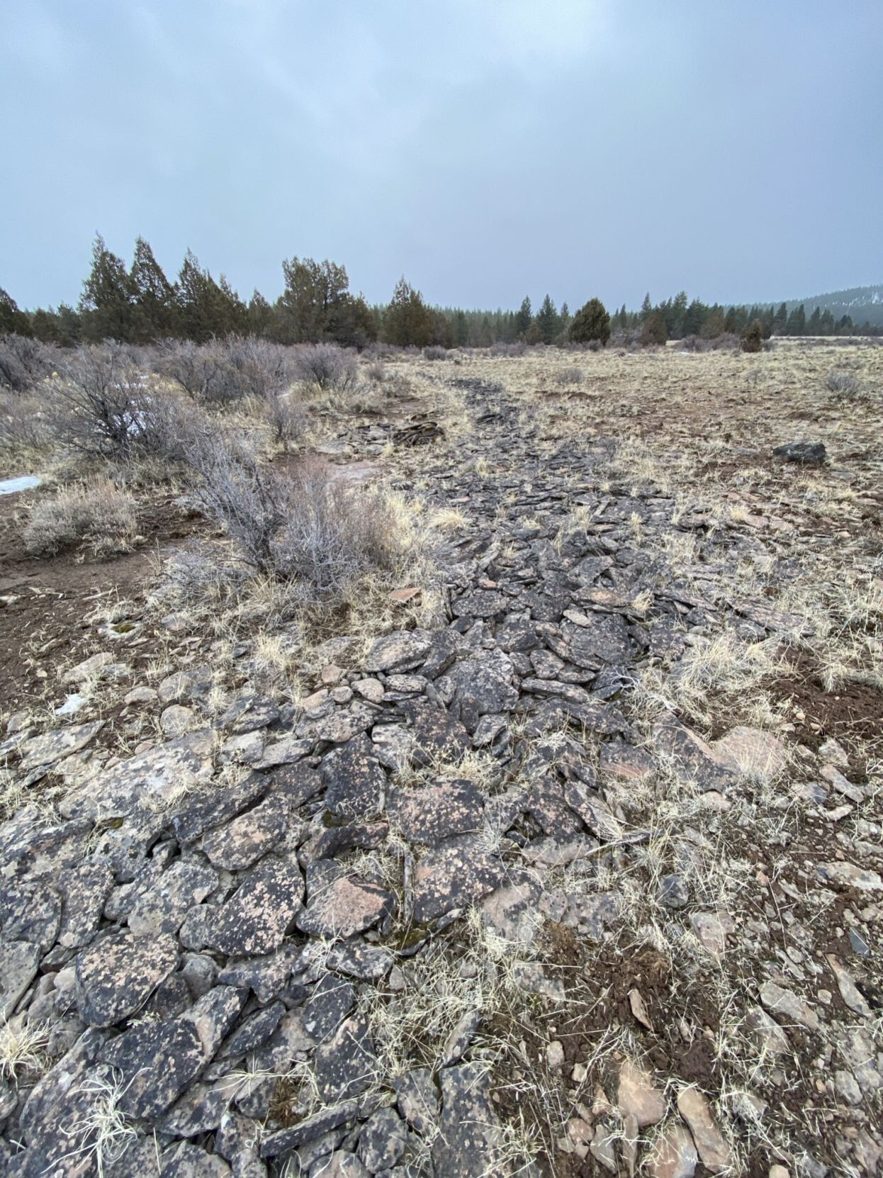 Lava Flow.jpeg